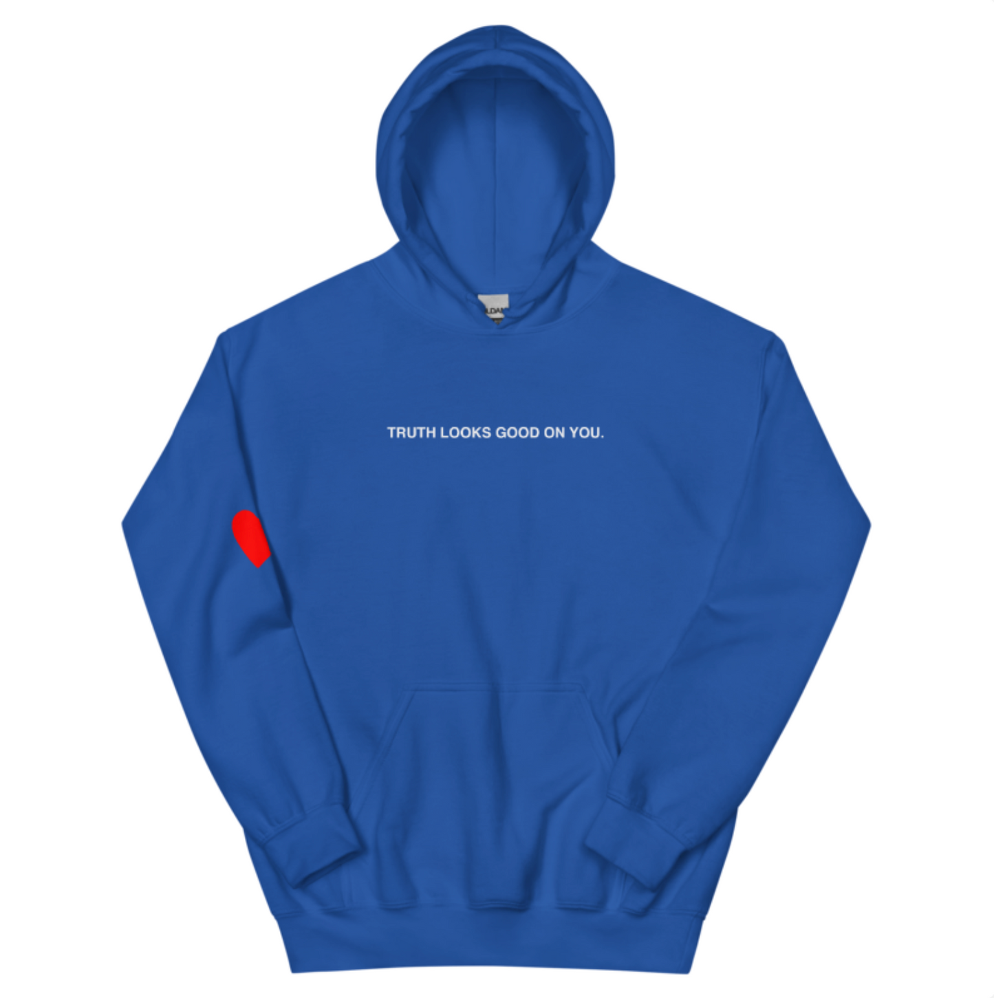 Clothes Are So Obnoxious (heart on your sleeve) HOODIE